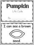 Pumpkin Life Cycle Book (12 pages) - Made By Teachers