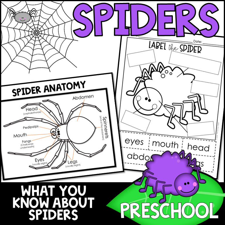 spider activities for preschool madebyteachers