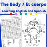 My Body - Mi Cuerpo - Made By Teachers
