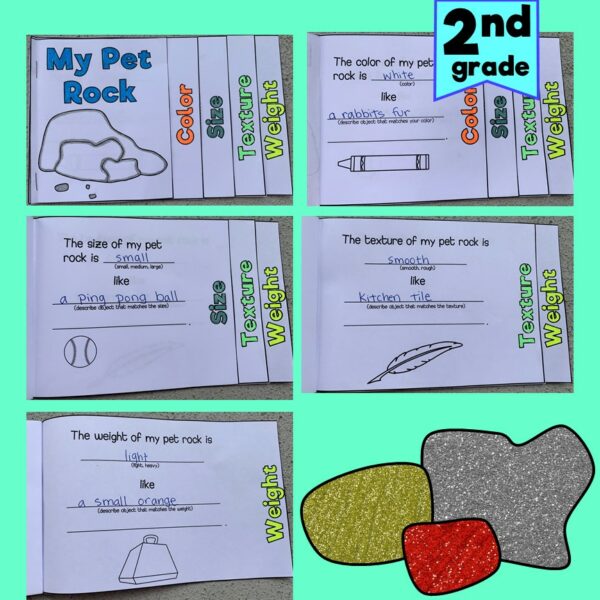 Pet Rock Instruction Manual