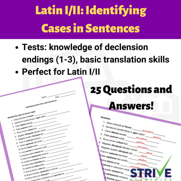 Latin I/II Identifying Cases in Sentences Set 1 Made By Teachers