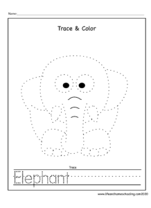 Tracing Animal Pictures - Made By Teachers