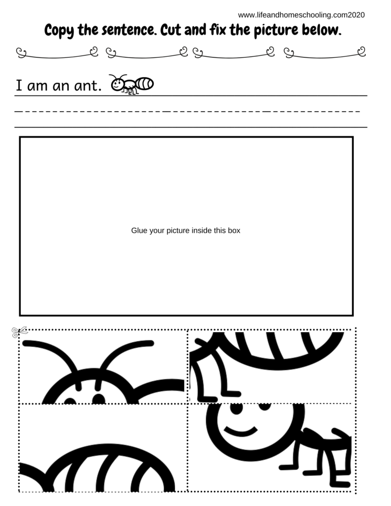 Read. Write. Solve the Puzzle. | Made By Teachers