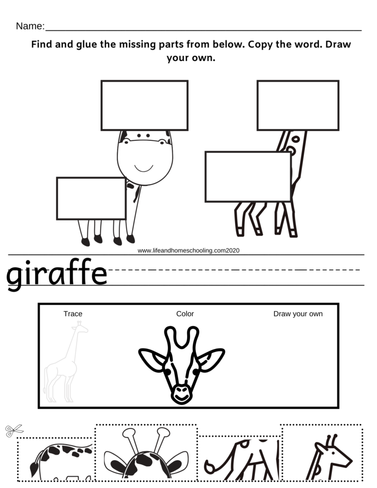 Consonant Digraph Worksheet - Made By Teachers