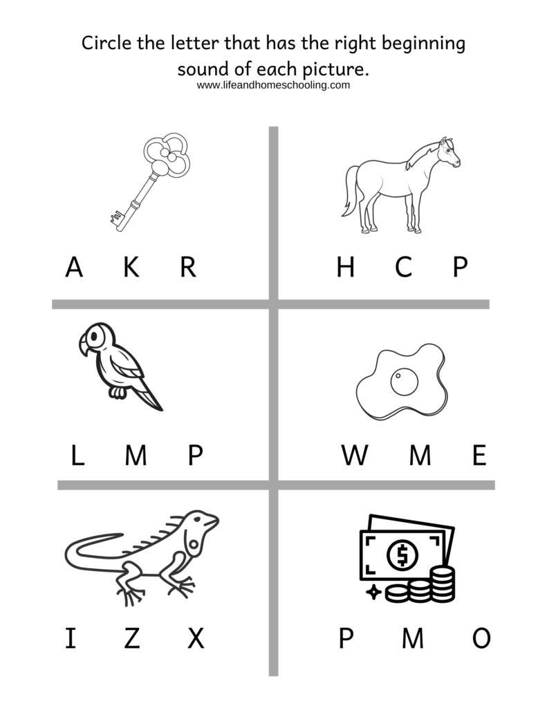 beginning sound phonics worksheet made by teachers