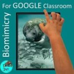Project Based Learning for GOOGLE Classroom™, Manatee & Dugong ...