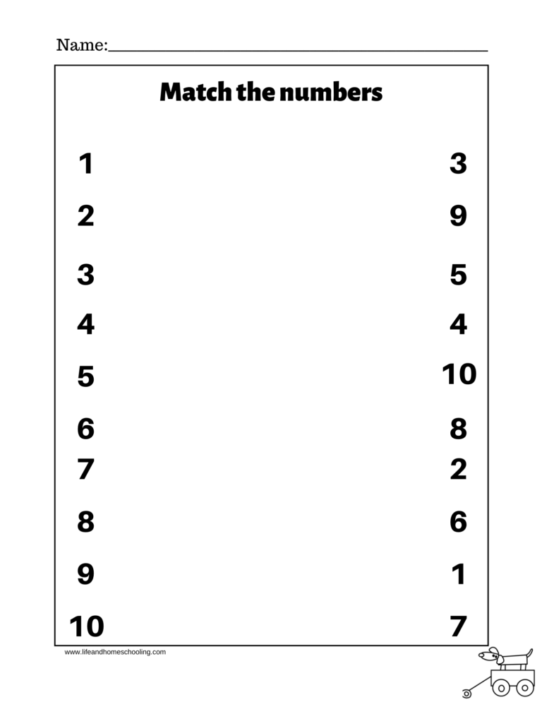 Matching Numbers Preschool-Kindergarten Math - Made By Teachers