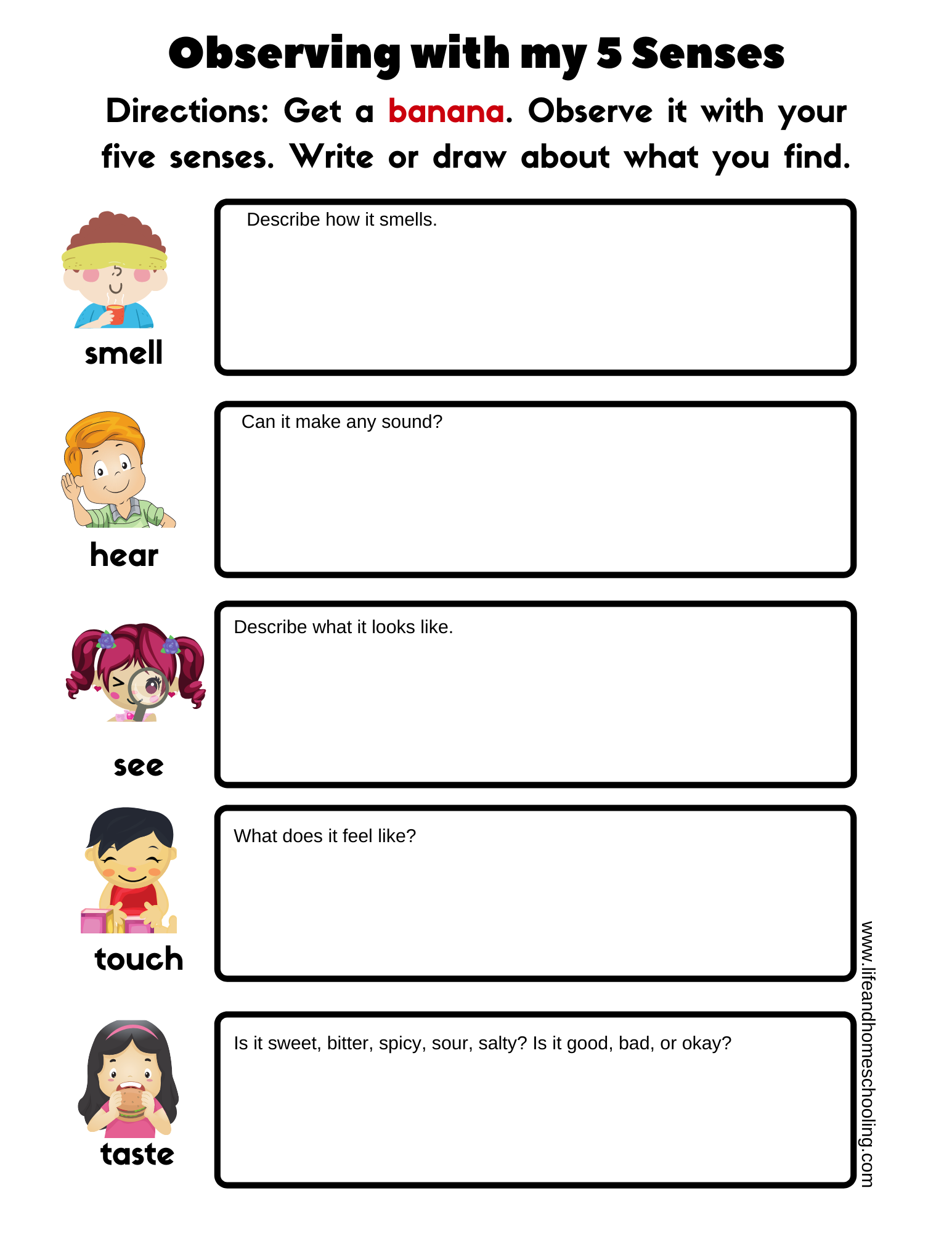 5 Senses Printable Worksheets Made By Teachers