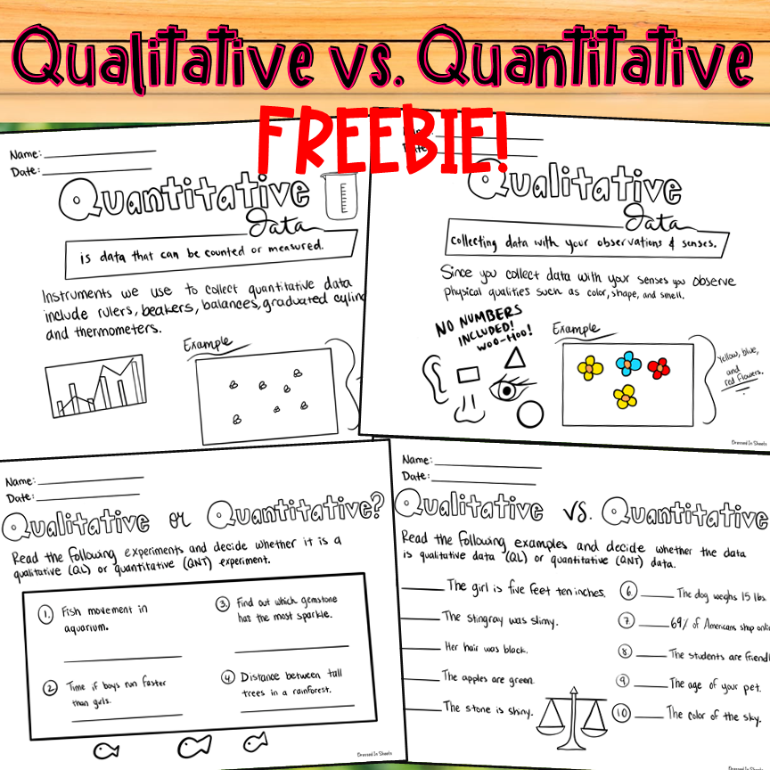 FREEBIE - Qualitative vs Quantitative Data | Made By Teachers
