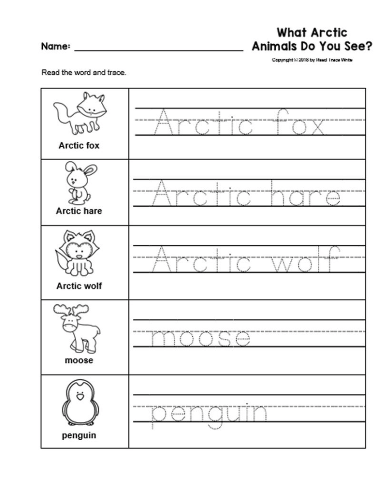 10 Arctic Animals Preschool Curriculum Activities B&W Worksheets - Made