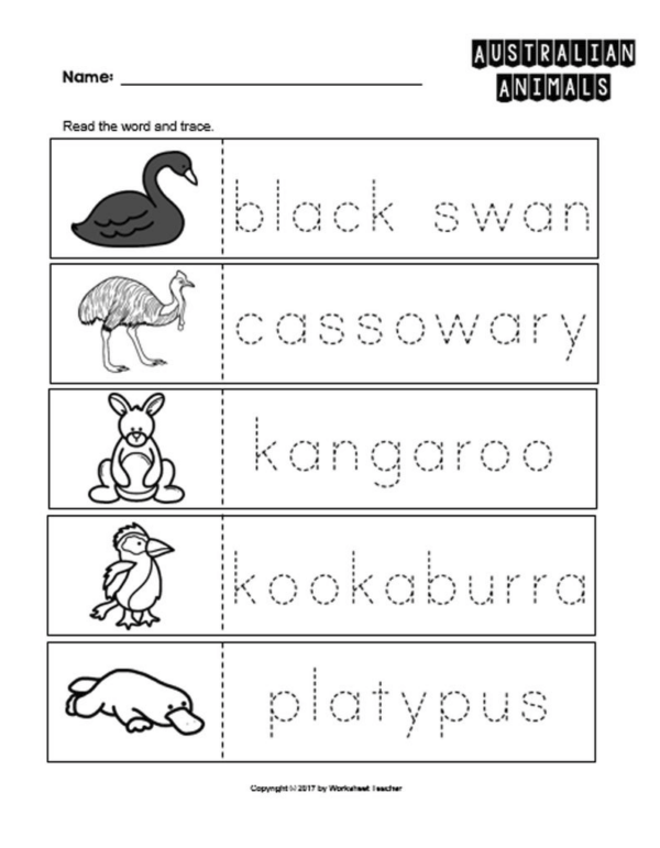 10 australian animals preschool curriculum activities bw worksheets