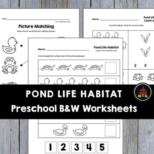 10 Pond Life Habitat Preschool Curriculum Activities B&W Worksheets