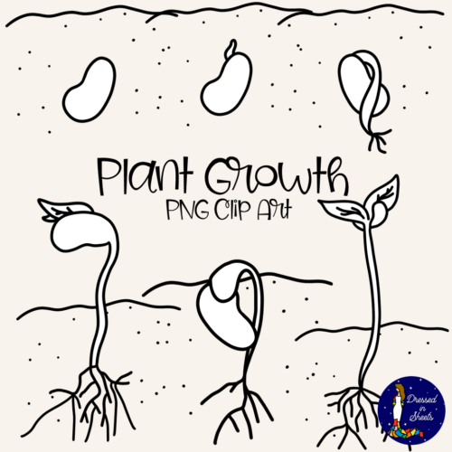 Plant Growth Clip Art - Made By Teachers