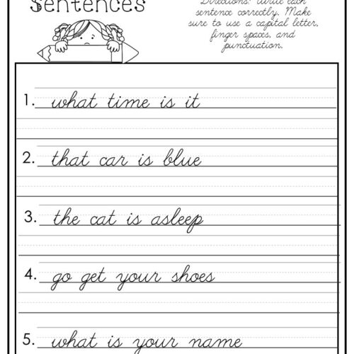 10 cursive correct the sentences worksheets made by teachers