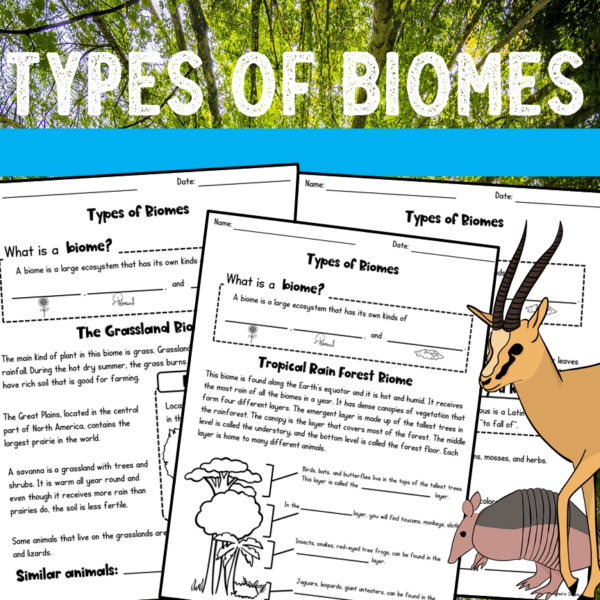 Types Of Biomes Worksheets And BOOM Cards Made By Teachers