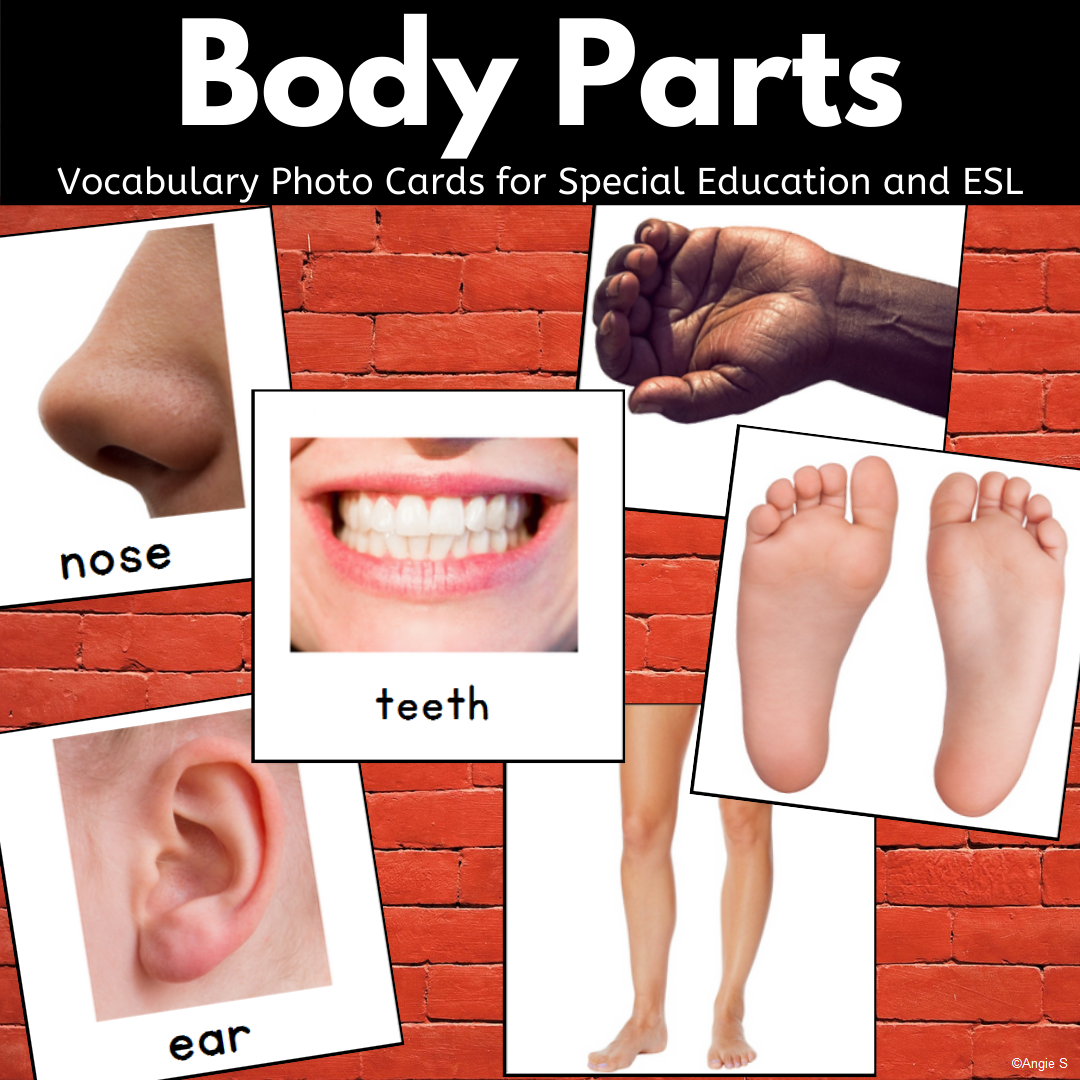 Plecare Pod Cometariu Body Parts Flashcards Printable Siguran 