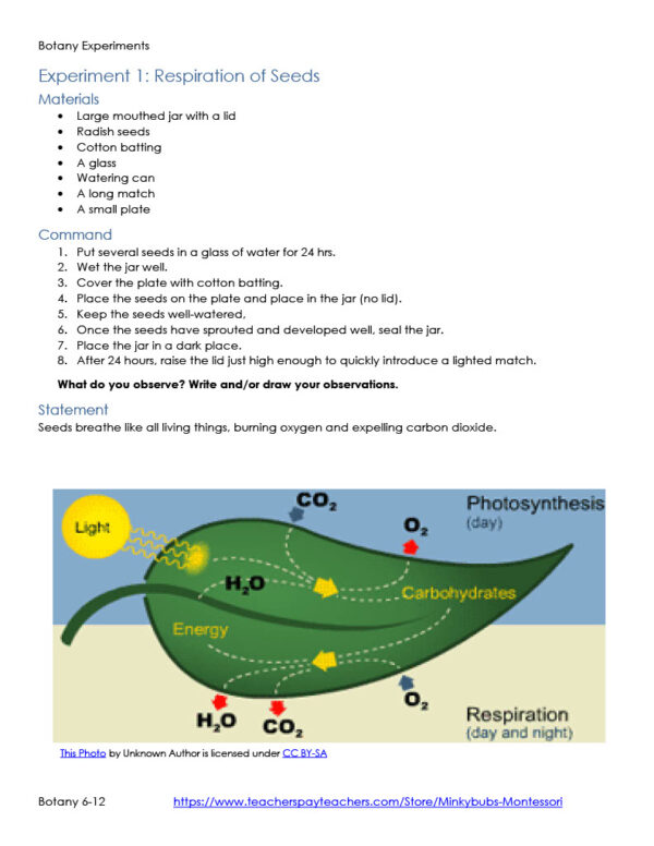 Botany Experiments Plants Set of 21 Made By Teachers