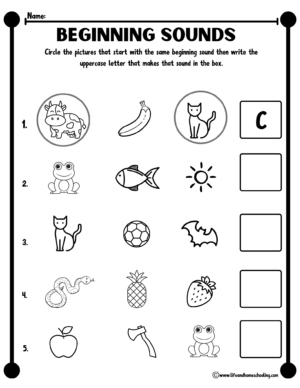 Kindergarten Beginning Sound Worksheet - Made By Teachers