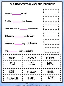 learning about homophones workbook made by teachers