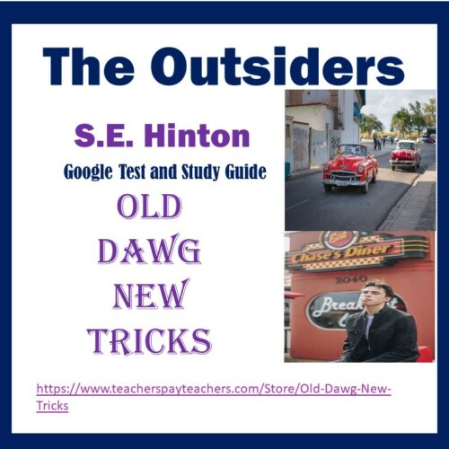 The Outsiders Google Doc Test and Study Guide - Made By Teachers