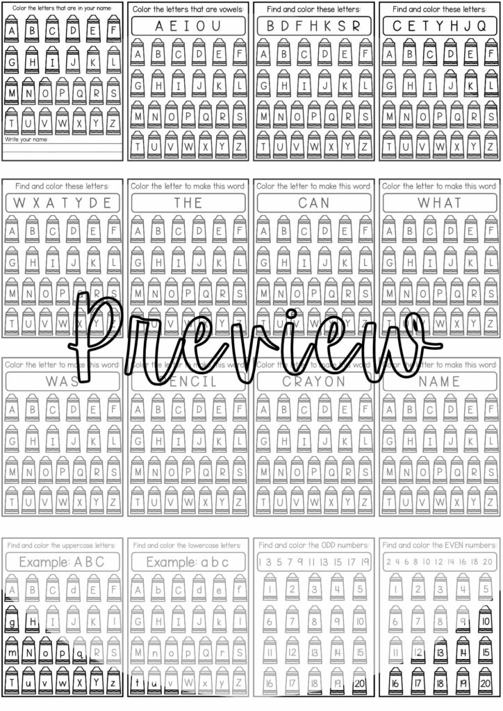 Back To School Preschool Packet - Made By Teachers