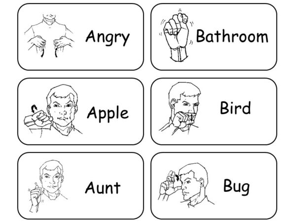 American Sign Language Curriculum Download. | Made By Teachers