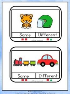 Same or Different Visual Task Cards - Made By Teachers