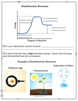 Enzymes Powerpoint and Student Notes - Made By Teachers