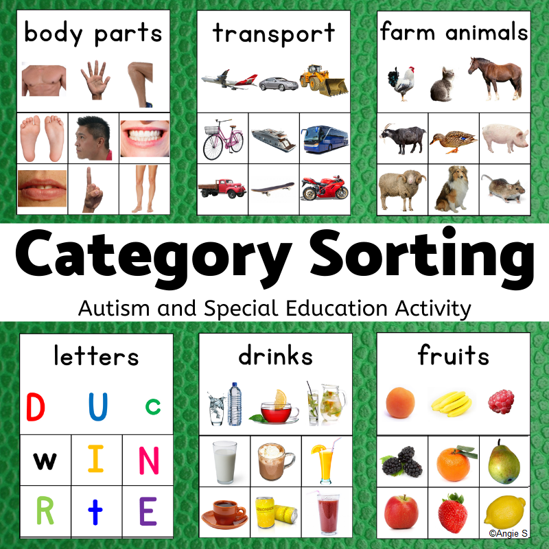 Category Sorting for Speech Therapy and Autism | Made By Teachers