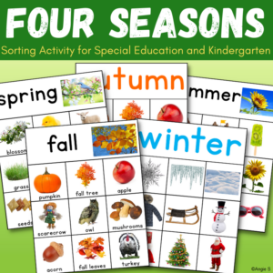 Four Seasons Activity | Season Sort for Special Ed