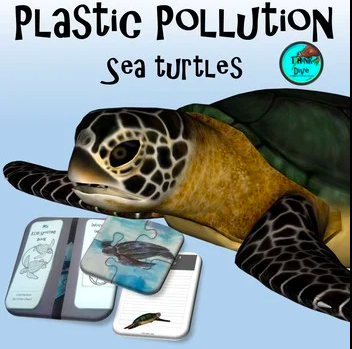 Project based learning: Plastic Pollution Sea Turtles – Lapbook | Made ...
