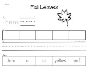 Cut and Paste Sentence Puzzles