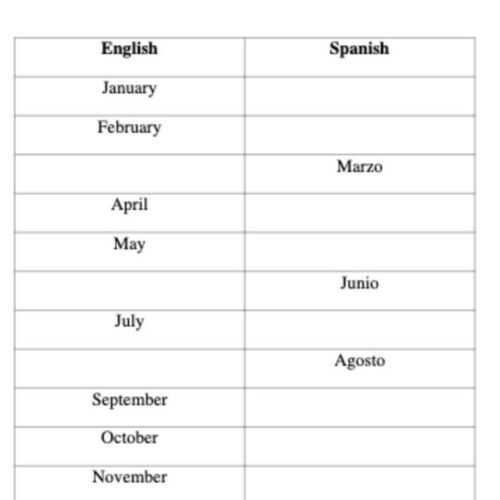 spanish worksheets beginner vocabulary word phrase made by teachers