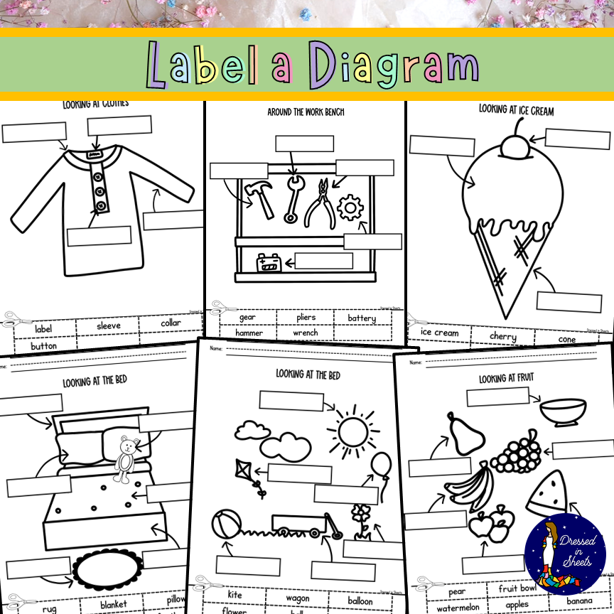 Label a Diagram - Made By Teachers