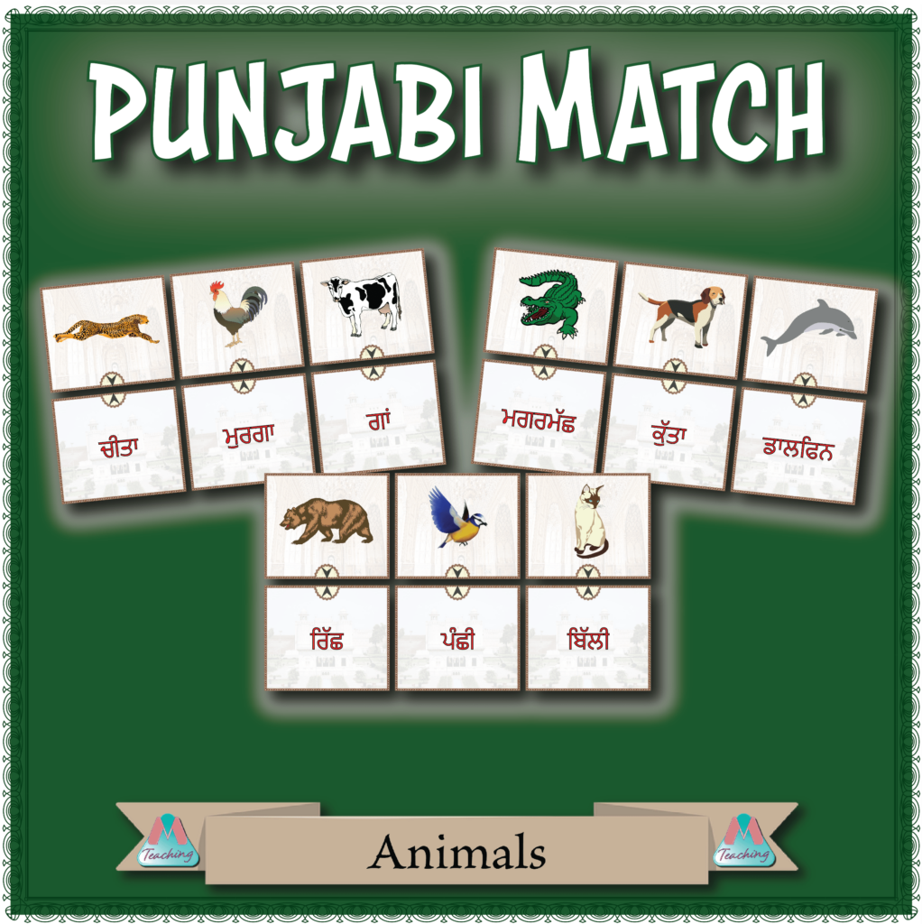 Punjabi Match Animals Made By Teachers