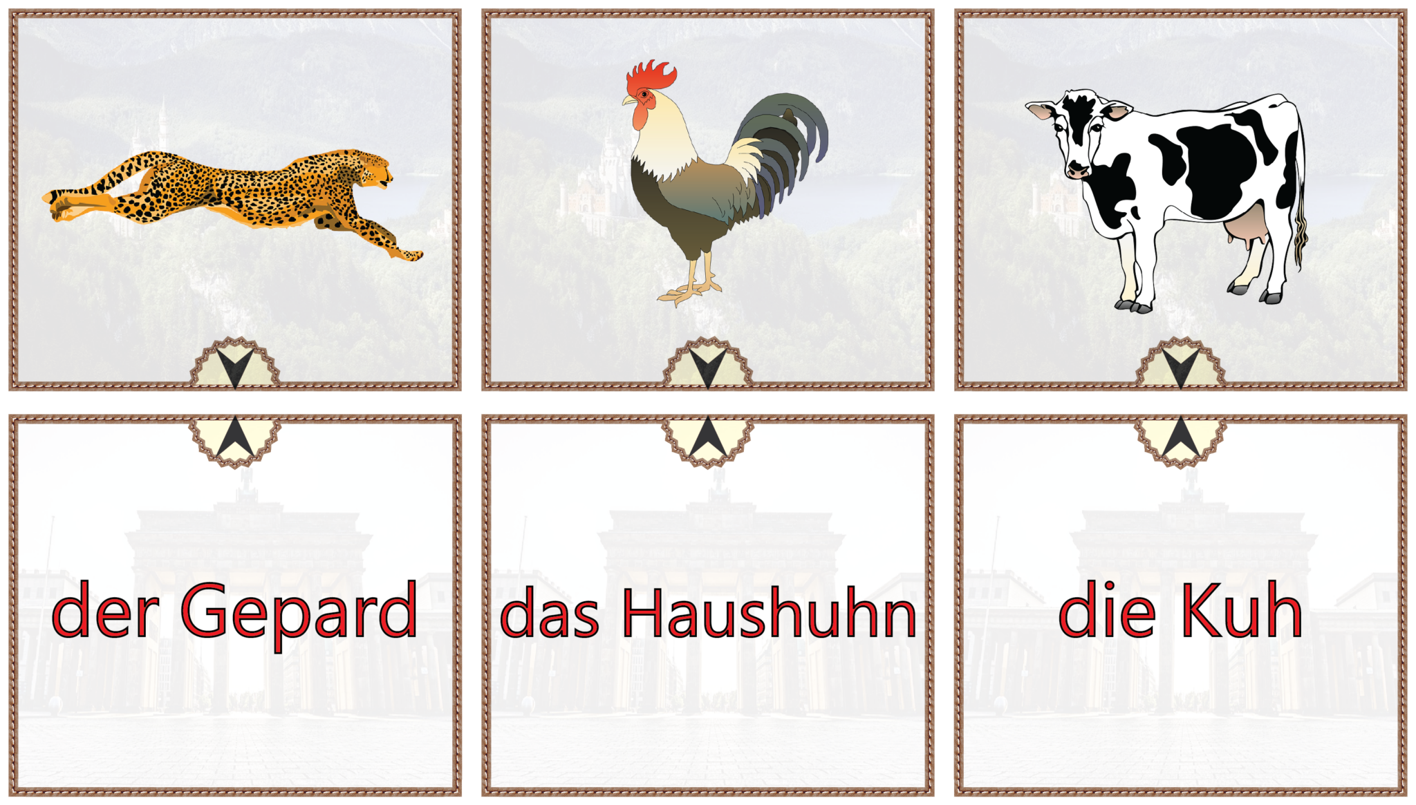 German Match & Task Cards - Animals Bundle | Made By Teachers