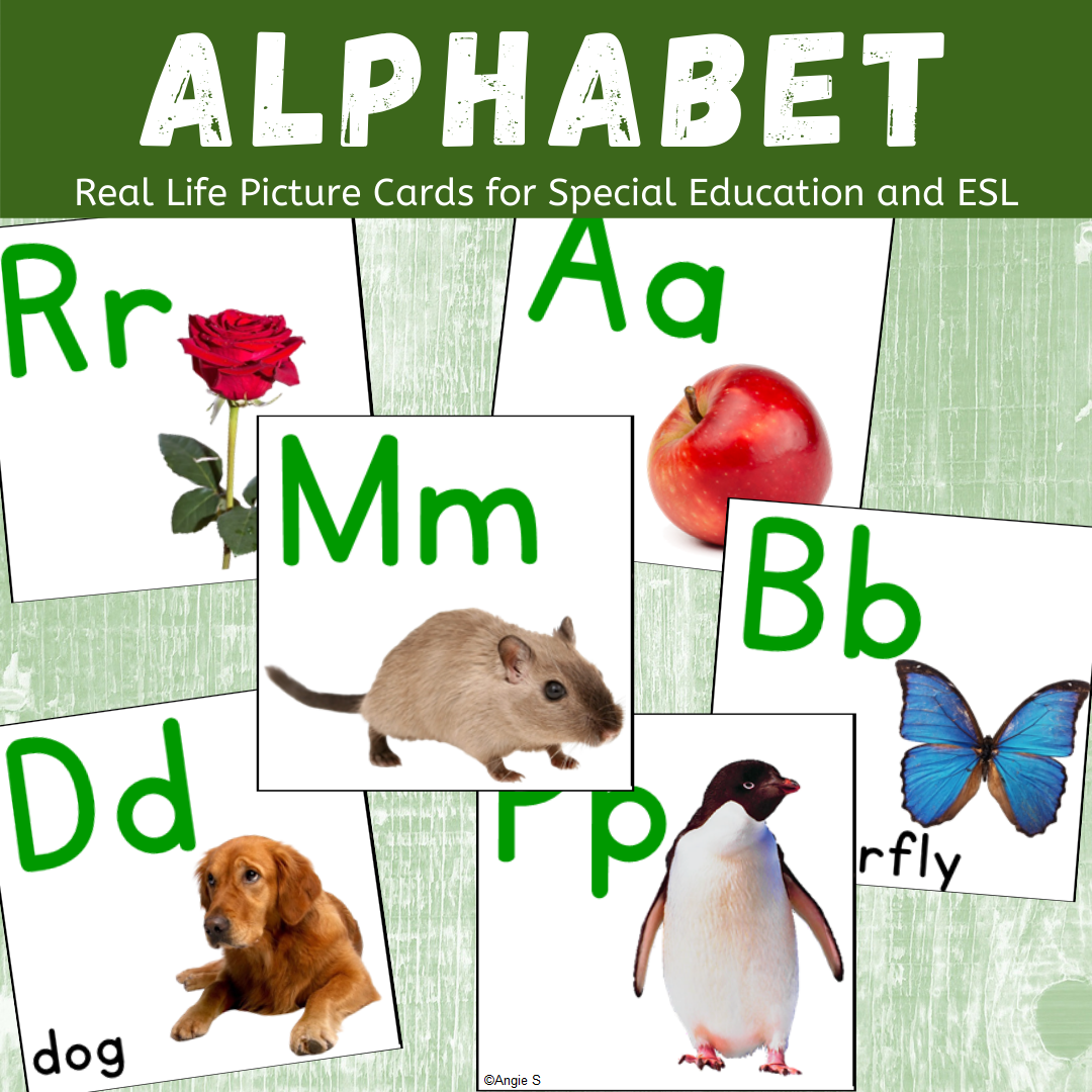Alphabet Picture Cards | Real Picture Alphabet Flashcards printable