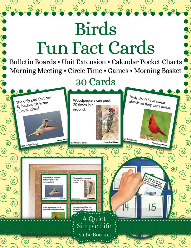 Birds Fun Facts Cards printable
