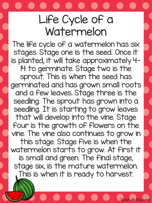 Life Cycle of a Watermelon Science Curriculum Unit. - Made By Teachers
