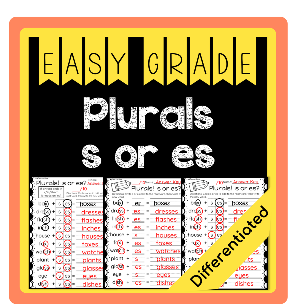 Plurals add s or es Plurals Assessment Made By Teachers
