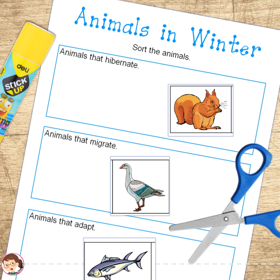 Animals in Winter Preschool and PreK Literacy Activities Made By Teachers