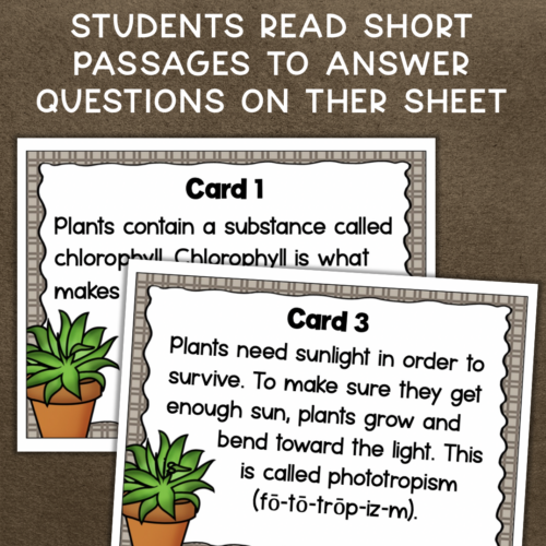 Plants & Plant Structure Activity Scavenger Hunt - Made By Teachers