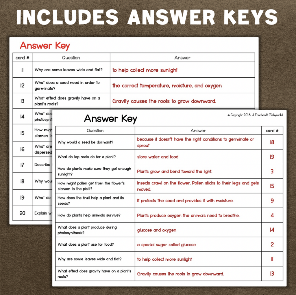 Plants & Plant Structure Activity Scavenger Hunt | Made By Teachers