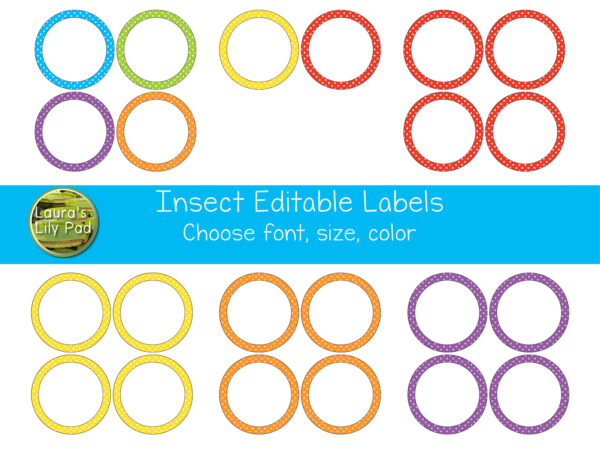 Insect Theme Editable Labels - Made By Teachers