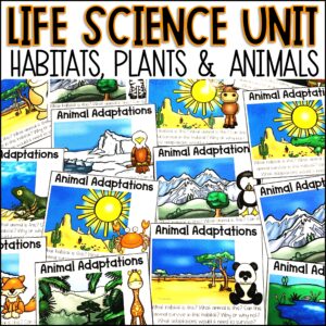 Life Science Unit | Animal Worksheets and Habitat Activities