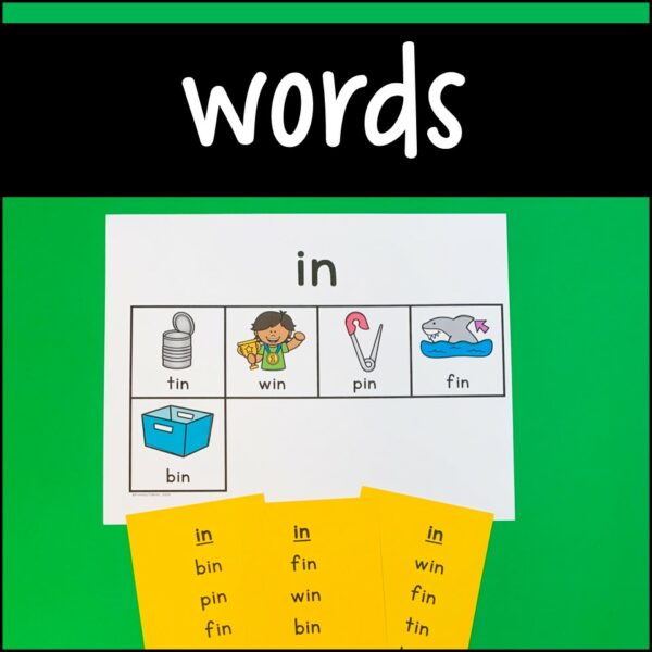 CVC Word Reading Fluency for in Word Family | Made By Teachers