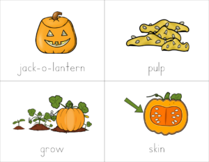 Life Cycle of a Pumpkin File Folder Games, Adapted Books, & Sequencing ...