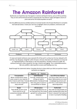 Food Webs And Strategies To Help The Rainforest