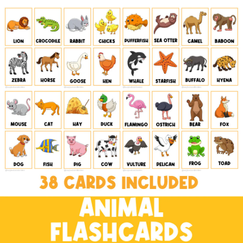 Animal Flashcards Preschool Flashcards Kindergarten Made By Teachers