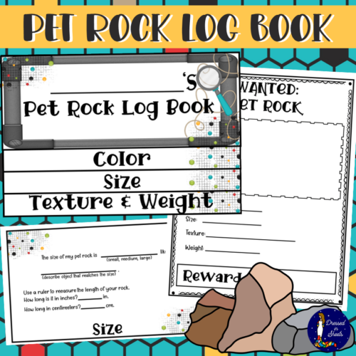 Pet Rock Log Book Made By Teachers